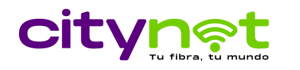 Citynetlc S.A