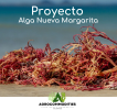 Alga Nueva Margarita
