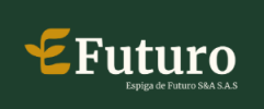 EFuturo