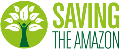 Saving the Amazon