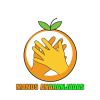 Fundación Desarrollo Integral Manos Anaranjadas